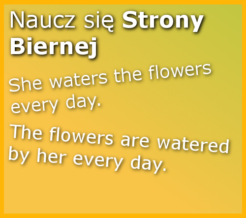 Strona Bierna Kurs Hybrydowy z Trenerem